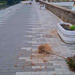 U toku noći počupane sadnice iz žardinjera na keju