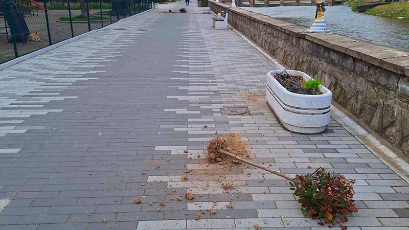 U toku noći počupane sadnice iz žardinjera na keju